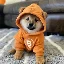 DOG图标